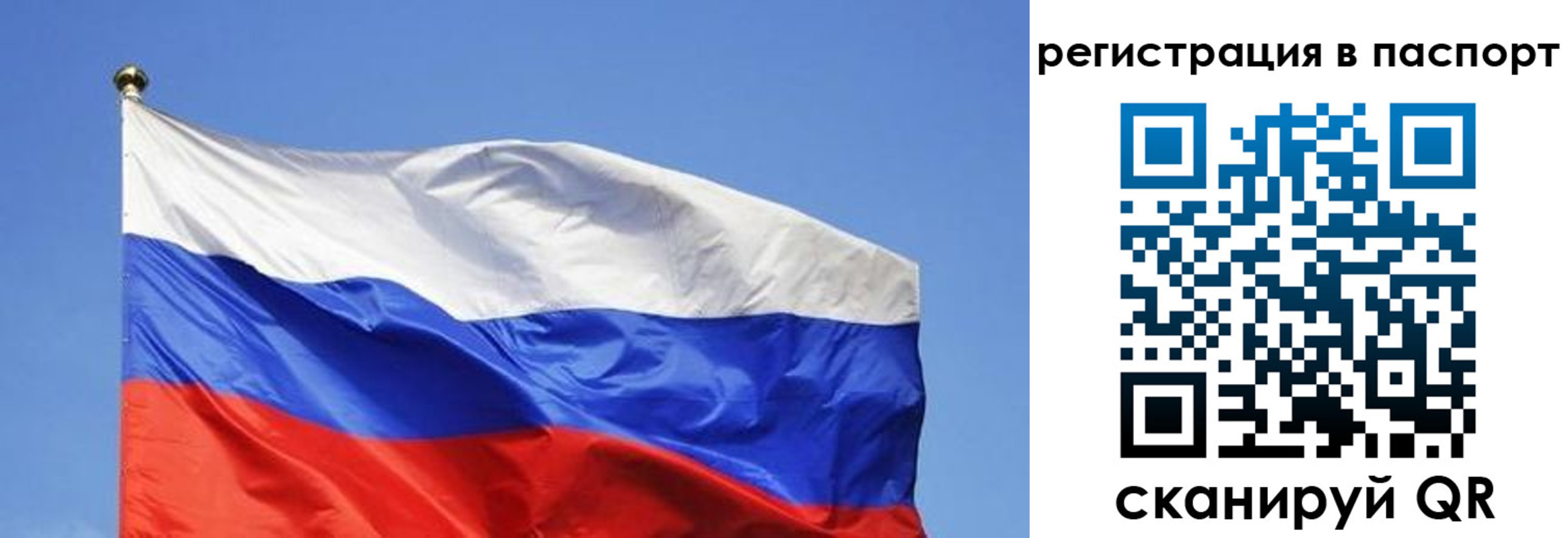 прописка в квартире в Гатчине